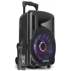 Kolumna mobilna z mikrofonem, Fenton, FT10LED, 10", 450W, Bluetooth